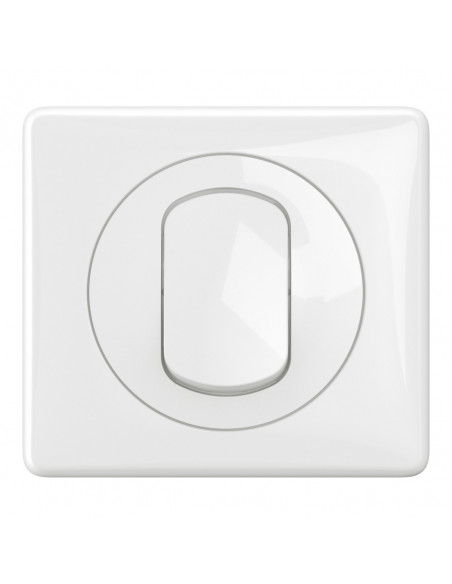 Interrupteur ou va-et-vient Céliane 10AX complet IP44 Blanc LEGRAND CG8001