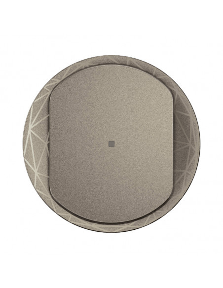 Enjoliveur interrupteur avec Neutre Céliane with Netatmo Titanium LEGRAND CT1413