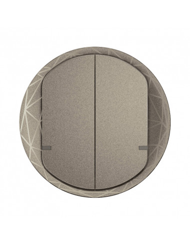 Enjoliveur interrupteur double Céliane with Netatmo Titanium LEGRAND CT1415