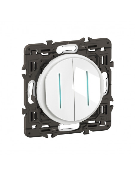 Double interrupteur témoin Céliane 10AX enjoliveur Blanc, support et voyant LEGRAND CX4001