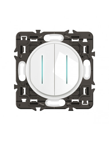 Double interrupteur témoin Céliane 10AX enjoliveur Blanc, support et voyant LEGRAND CX4001