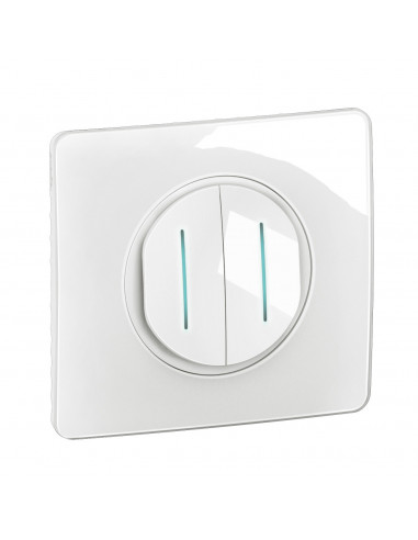 Double interrupteur témoin Céliane 10AX enjoliveur Blanc, support et voyant LEGRAND CX4001