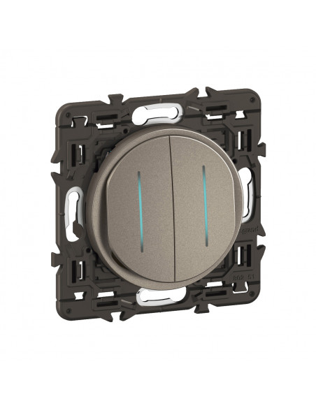 Double interrupteur témoin Céliane 10AX enjoliveur Titanium, support et voyant LEGRAND CY4001