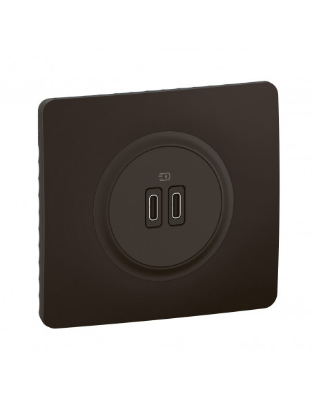 Prise 2 USB Céliane 20W Power Delivery Type-C+C enjoliveur Noir et support LEGRAND CZ0154