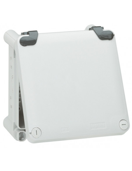 Jeu de 2 charnières pour boîtiers 130x130mm à 270x170mm et boîtes Plexo 130x130mm à 220x170mm LEGRAND 035800