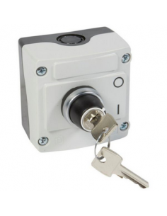 Boîte à bouton équipée Osmoz avec bouton tournant à clé n°455 2 positions avec couvercle gris LEGRAND 024217 2