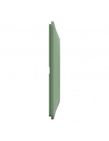 OVALIS PLAQUE DE FINITION 2 POSTES HORIZONTAL ENTRAXE 71MM VERT FORÊT SCHNEIDER S320704B