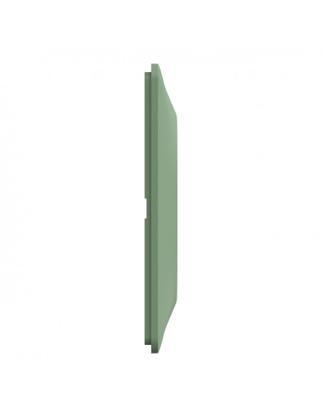 OVALIS PLAQUE DE FINITION 2 POSTES HORIZONTAL ENTRAXE 71MM VERT FORÊT SCHNEIDER S320704B
