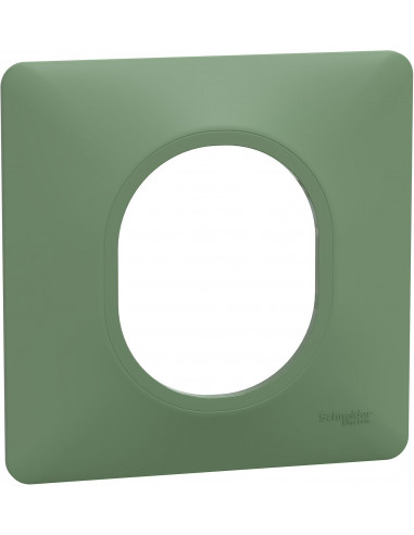 OVALIS PLAQUE DE FINITION 1 POSTE VERT FORÊT SCHNEIDER S320702B
