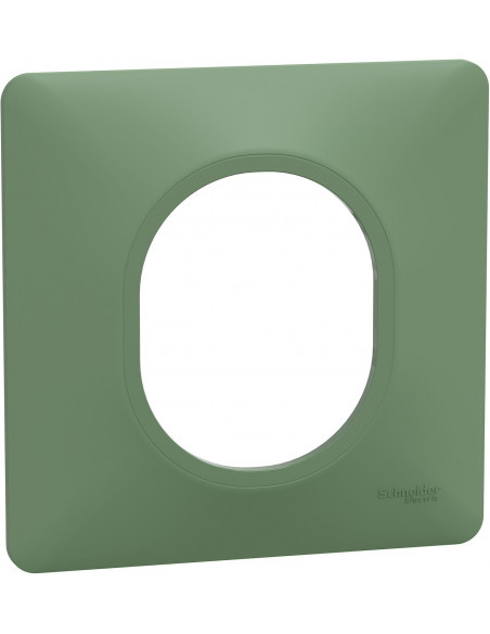OVALIS PLAQUE DE FINITION 1 POSTE VERT FORÊT SCHNEIDER S320702B
