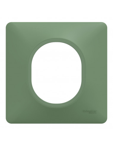OVALIS PLAQUE DE FINITION 1 POSTE VERT FORÊT SCHNEIDER S320702B