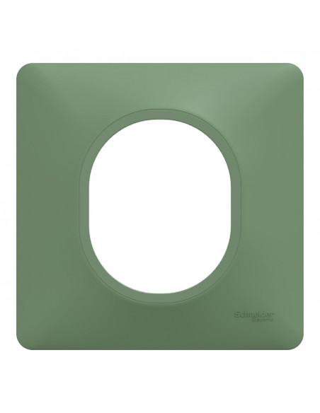 OVALIS PLAQUE DE FINITION 1 POSTE VERT FORÊT SCHNEIDER S320702B