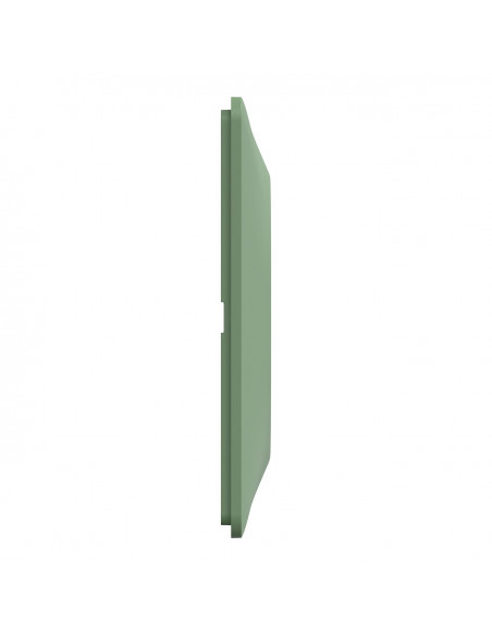 OVALIS PLAQUE DE FINITION 1 POSTE VERT FORÊT SCHNEIDER S320702B