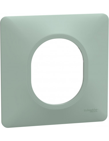 OVALIS PLAQUE DE FINITION 1 POSTE SAUGE SCHNEIDER S320702A