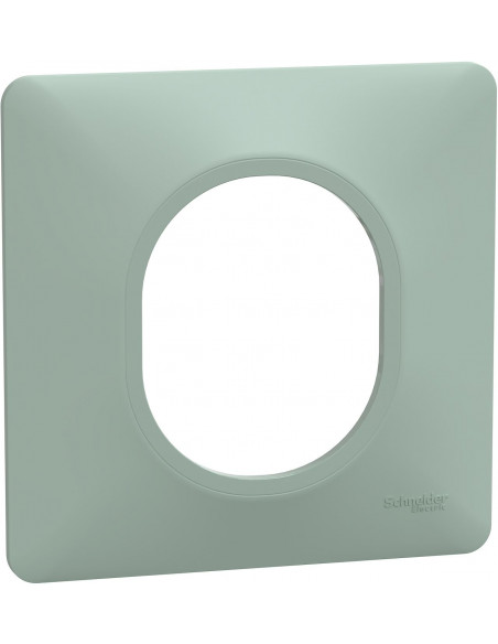 OVALIS PLAQUE DE FINITION 1 POSTE SAUGE SCHNEIDER S320702A