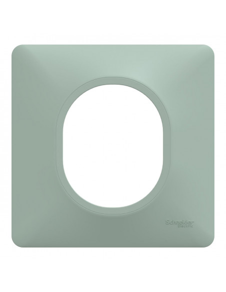 OVALIS PLAQUE DE FINITION 1 POSTE SAUGE SCHNEIDER S320702A