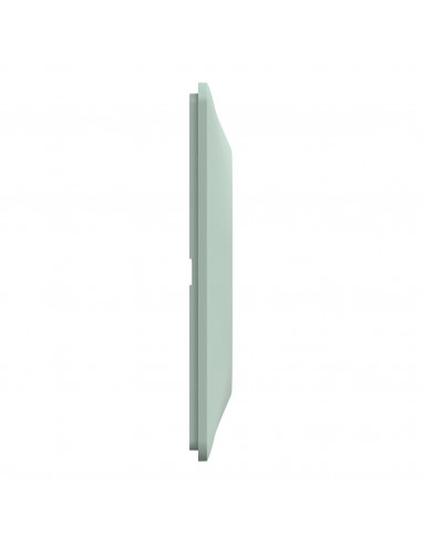 OVALIS PLAQUE DE FINITION 1 POSTE SAUGE SCHNEIDER S320702A