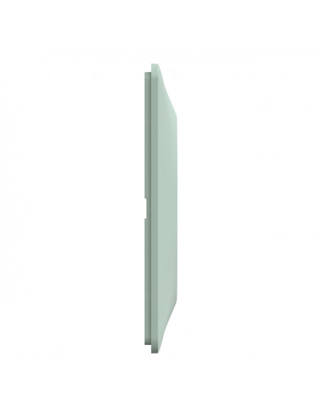 OVALIS PLAQUE DE FINITION 1 POSTE SAUGE SCHNEIDER S320702A