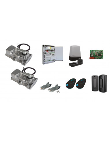 Automatisme Battants kit enterre KIT FROG-X CAME 8K01MI-007