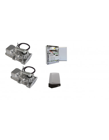 Automatisme Battants kit enterre KIT FROG-X LIGHT CAME 8K01MI-008