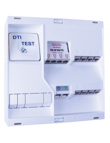TDC NÉO Grd2TV - 8 RJ45 DTI + Filtre TV 4S MICHAUD LB218