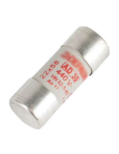 Cartouche fusible cylindrique 22x58 AD 30A MICHAUD N201