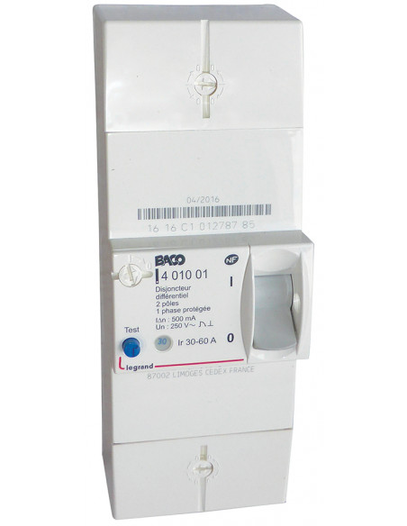 Disjoncteur de branchement BIPO 60A instantané MICHAUD N461