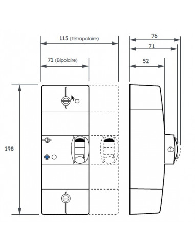 Disjoncteur de branchement BIPO 60A instantané MICHAUD N461