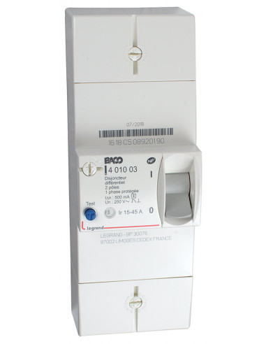 Disjoncteur de branchement BIPO 45A sélectif MICHAUD N463