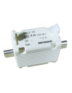 Cartouche fusible T00 4A Gg MICHAUD P235