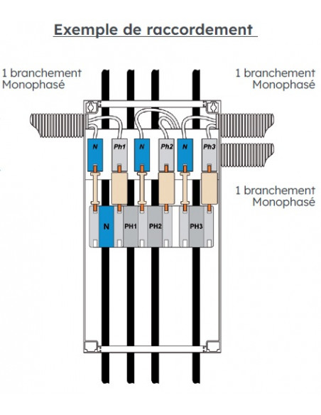 Ensemble de CPF 60A universel 1 branchement mono MICHAUD Q880