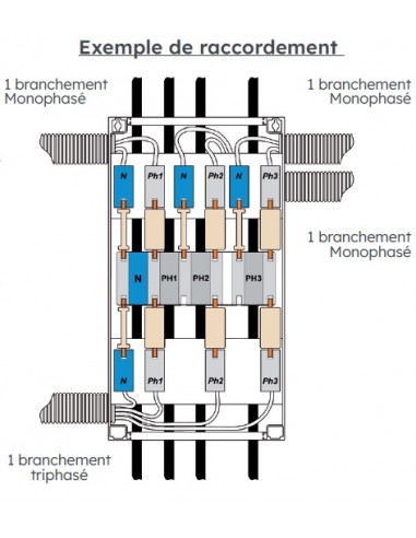 Ensemble de CPF 60A universel 1 branchement mono MICHAUD Q880