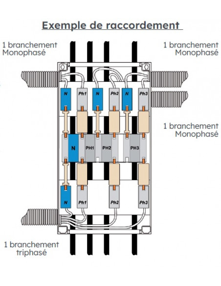 Ensemble de CPF 60A universel 1 branchement mono MICHAUD Q880