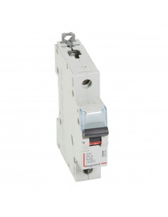Disjoncteur DX³6000 arrivée haute départ bas à vis 1 Pôle 230V~ à 400V~ 2A Courbe D 1 module LEGRAND 407950 2