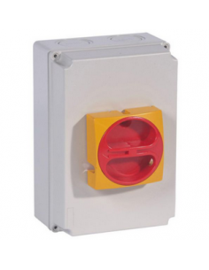 Interrupteur-sectionneur rotatif complet de proximité tripolaire 80A LEGRAND 022177 2