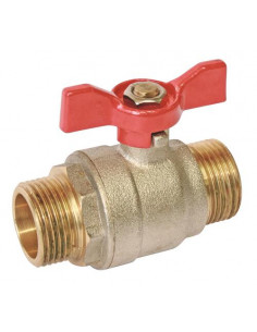 Vanne à sphère double mâle 15/21 V490 à manette papillon PN30