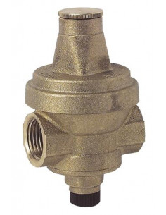 Réducteur de pression à membrane NF double femelle 20/27 506-20 / 1040103010 / 104010301 2