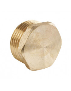 Poche de 2 bouchons laiton brut mâle 20/27 101510407