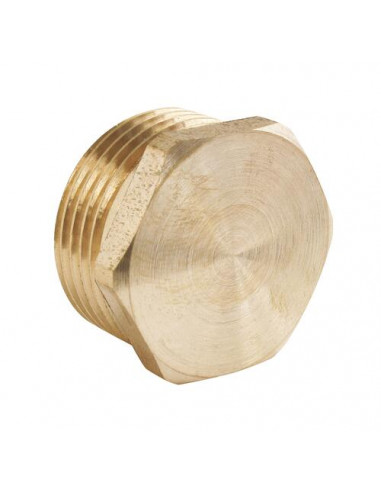 Poche de 2 bouchons laiton brut mâle 20/27 101510407