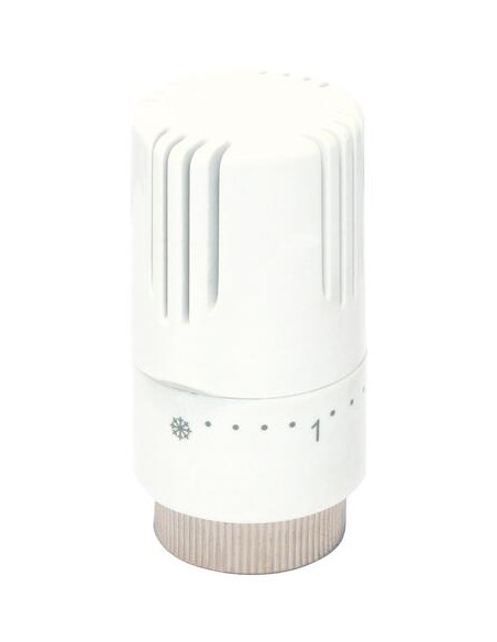 Tête thermostatique liquide VT0,5 190