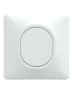 Ovalis obturateur Blanc avec griffes montées et plaque de finition SCHNEIDER S321666