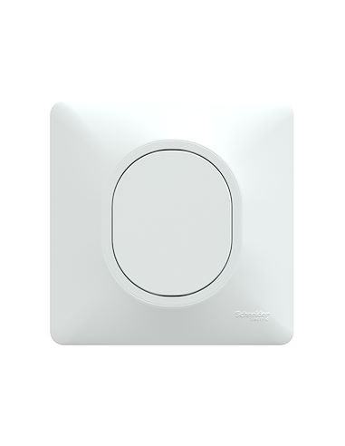 Ovalis obturateur Blanc avec griffes montées et plaque de finition SCHNEIDER S321666