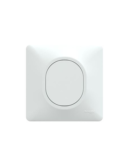 Ovalis obturateur Blanc avec griffes montées et plaque de finition SCHNEIDER S321666