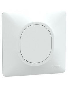 Ovalis obturateur Blanc avec griffes montées et plaque de finition SCHNEIDER S321666 2