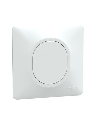 Ovalis obturateur Blanc avec griffes montées et plaque de finition SCHNEIDER S321666