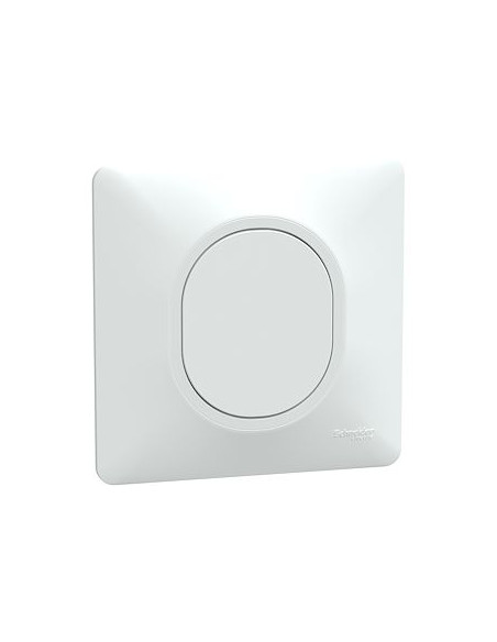 Ovalis obturateur Blanc avec griffes montées et plaque de finition SCHNEIDER S321666