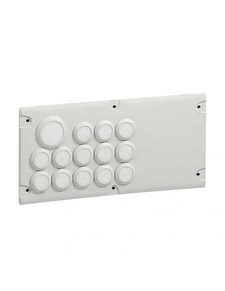 Plaque Cabstop IP55 avec 13 entrées Ø5mm à Ø14mm et 1 sortie Ø14mm à Ø24mm avec 1 réserve LEGRAND 036495