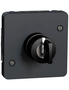 Mureva Styl Interrupteur à clé 3 positions composable IP55 IK08 gris SCHNEIDER MUR35061