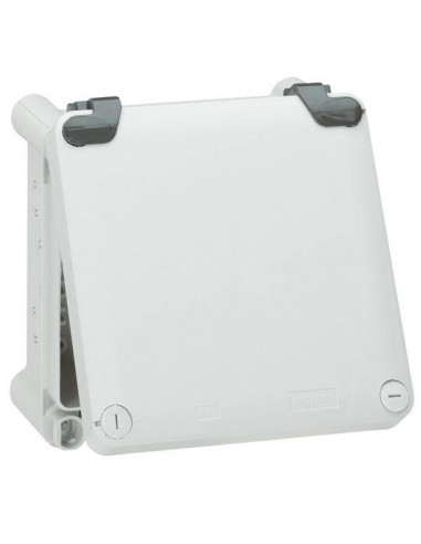 Jeu de 2 charnières pour boîtiers 130x130mm à 270x170mm et boîtes Plexo 130x130mm à 220x170mm LEGRAND 035800