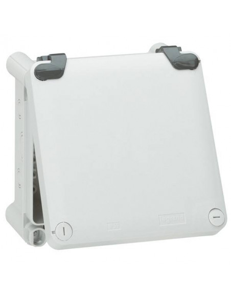Jeu de 2 charnières pour boîtiers 130x130mm à 270x170mm et boîtes Plexo 130x130mm à 220x170mm LEGRAND 035800